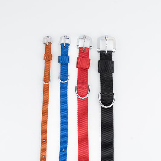 Kennel Nylon Collar – Lightweight Adjustable Everyday Dog Collar