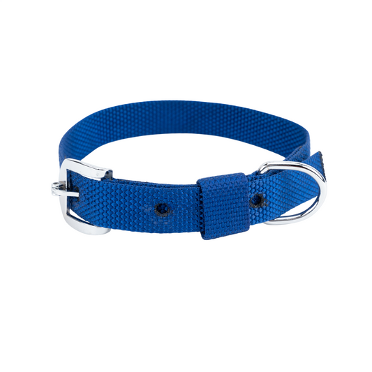 Kennel Nylon Dog Collar for Everyday Use