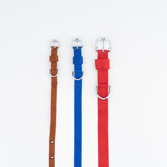 Kennel Nylon Half Collar - Everyday Dog Collar