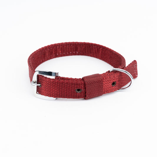 Kennel Premium Nylon Collar | Strong, Adjustable Everyday Dog Collar