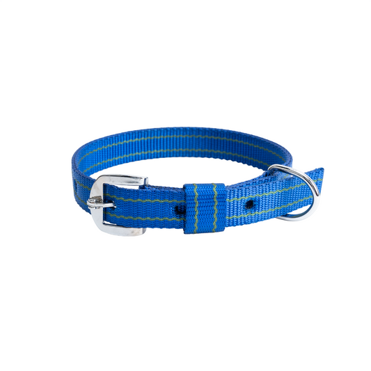 Kennel Nylon Pattern Dog Collar – Lightweight Design Collar