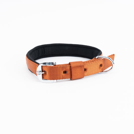 Kennel Padded Nylon Collar | Soft Comfort Everyday Dog Collar