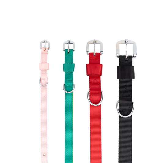 Kennel Soft Two-Color Nylon Dog Collar – Lightweight Adjustable Collar