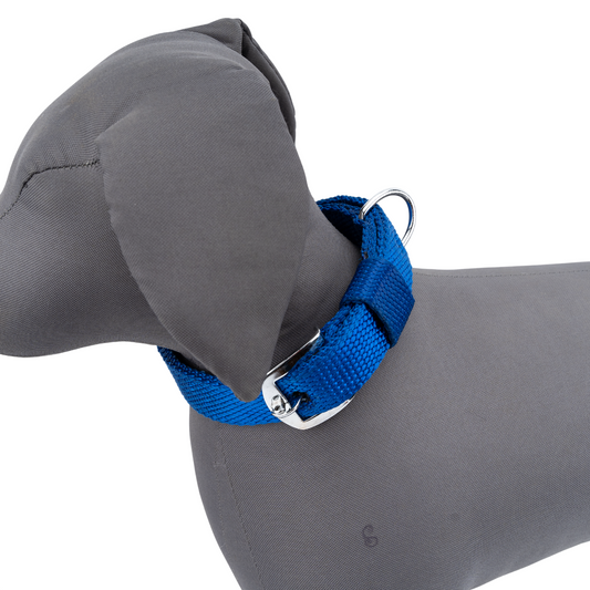 Kennel Premium Nylon Collar | Strong, Adjustable Everyday Dog Collar