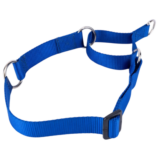Kennel Nylon Martingale Dog Collar – No-Slip Training Collar