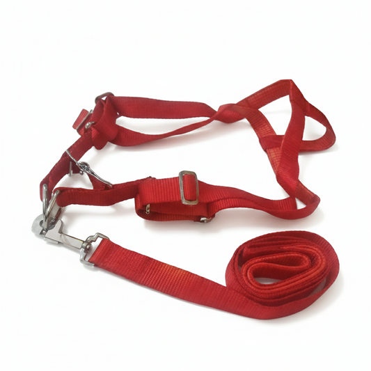 Kennel Foam Padded Soft Nylon M.S. Click Lock Adj. Harness & Leash Set