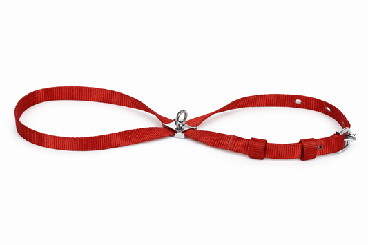 Kennel Nylon Adjustable Body Harness (3/4") | Lightweight & Secure Dog Harness