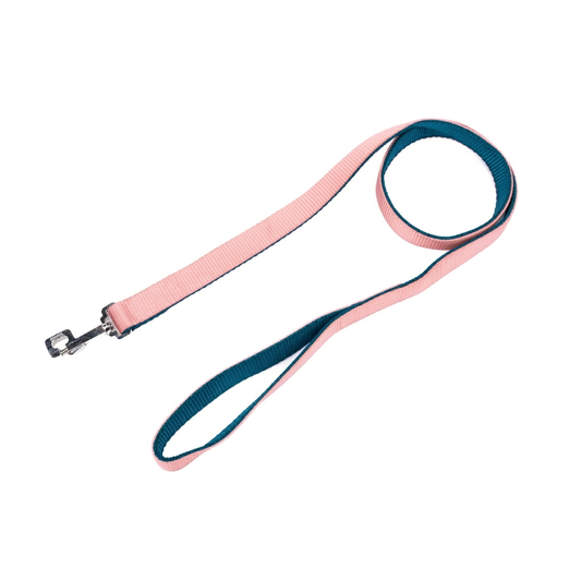 Nylon Dog Leash – Soft Two-Colour | Kennel