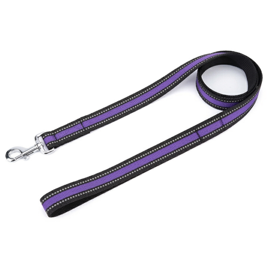 Kennel Reflective Nylon Dog Leash – 48 Inch