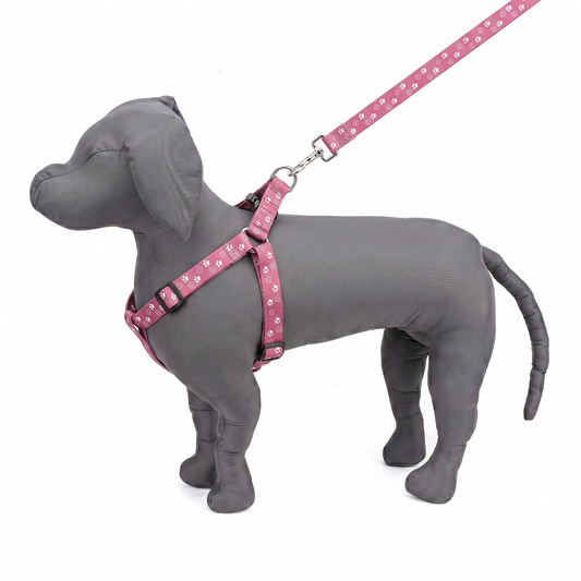 Purple Paws Printed Padded Click Lock Adjustable Harness