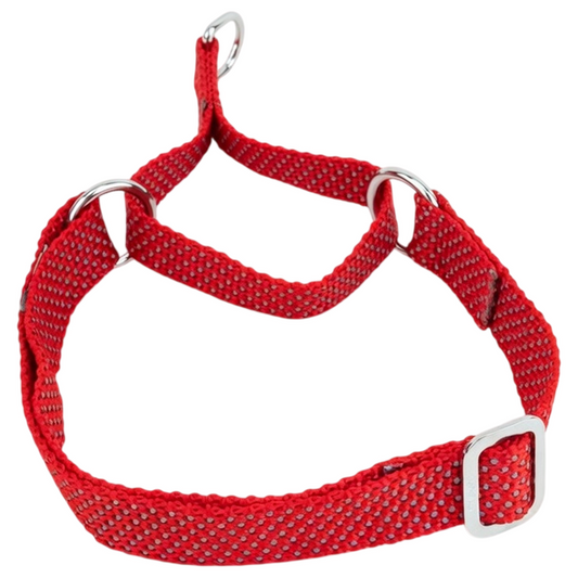 Kennel Reflective Nylon Martingale Dog Collar