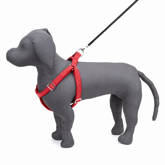 Kennel Reflective Padded Adjustable Nylon Dog Harness – Adjustable & Comfortable Safety Harness for Dogs