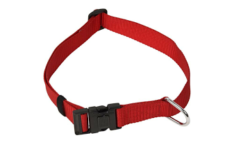 Kennel Soft Nylon Adjustable Click-Lock Dog Collar – Durable 1.25" Quick-Release Collar
