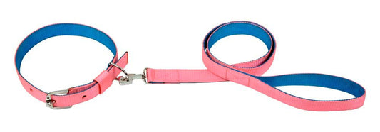 Kennel Soft Nylon Two Color Dog Collar & Leash Set (1 Inch, Large)