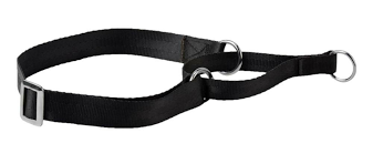 Kennel Nylon Martingale Collar (1") – Adjustable No-Slip Training Collar
