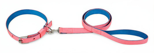 Kennel Soft Nylon Two-Color Dog Collar & Leash Set – Lightweight Combo