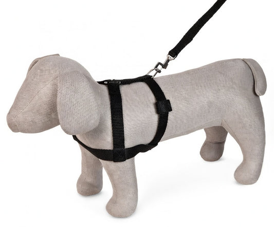 Kennel Nylon Body Harness | Lightweight, Adjustable & Comfortable Dog Harness