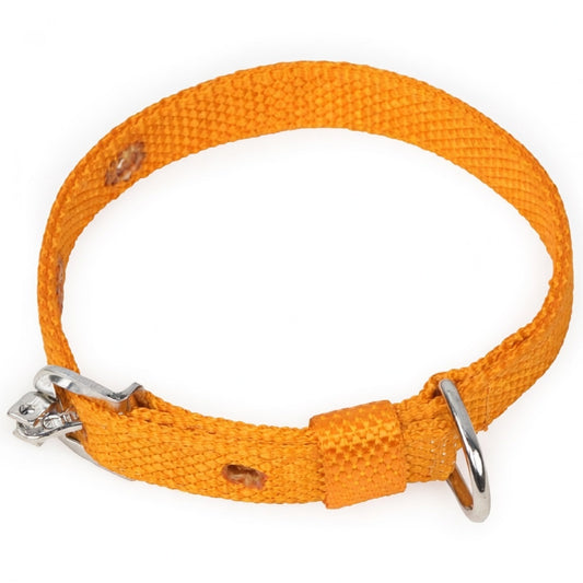 Kennel Nylon Collar – Lightweight Adjustable Everyday Dog Collar
