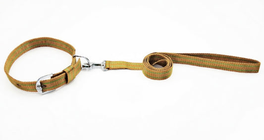 Kennel Nylon Pattern Collar & Leash Set for Dogs – Durable Adjustable Pet Collar with Matching Lead