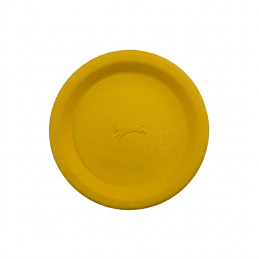 Kennel Frisbee