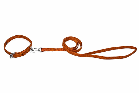 Kennel Nylon Collar & Leash Set – Lightweight Walking Set