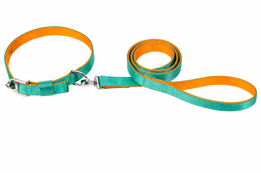 Kennel Soft Nylon Two-Color Dog Collar & Leash Set – Lightweight Combo