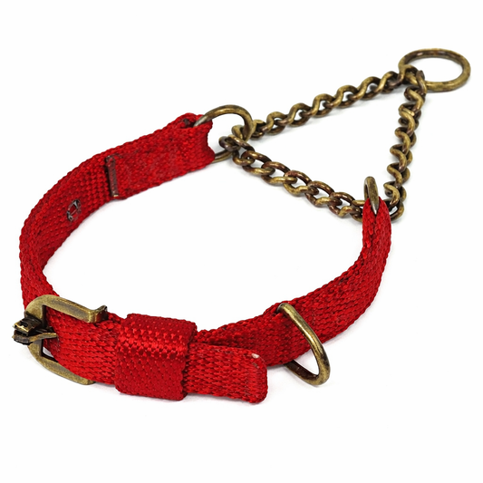 Kennel Premium Nylon Brass Chain Martingale Collar – Strong & Secure Training Collar