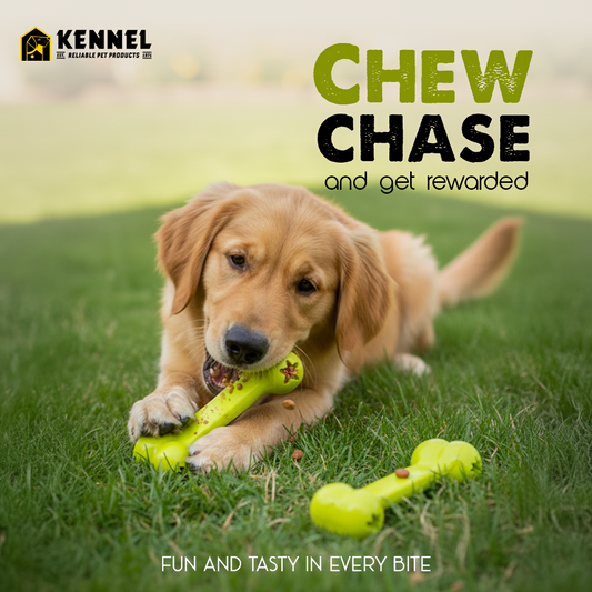 Kennel Big Treat Bone Dispenser Dog Toy – Durable Chew Bone for Treat Dispensing & Dental Health - Kennel