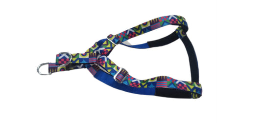 Kennel Shapes Printed Padded Nylon Adjustable Dog Harness (1") – Large