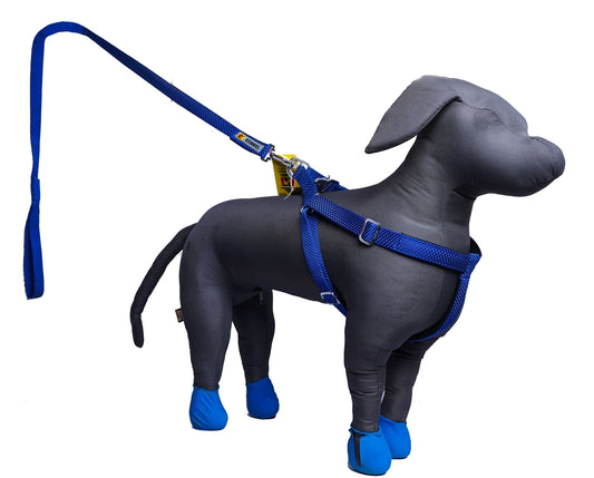 Kennel Premium Reflective Padded Nylon Dog Harness (1 Inch) – Adjustable & Comfortable Safety Harness for Dogs