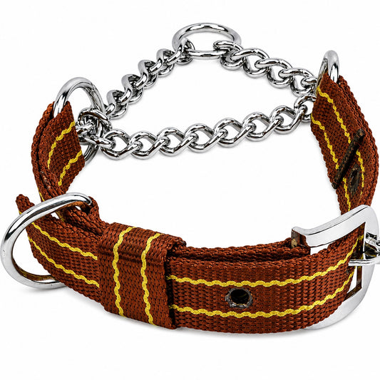Dog Martingale Collar – Nylon & Chain, Adjustable