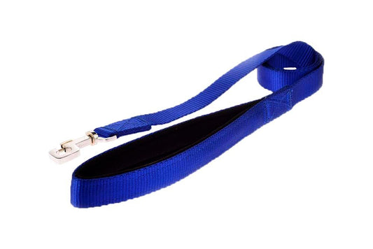 Kennel Padded Soft Nylon Dog Leash (1 Inch, 48”) – Comfortable & Durable Walking Leash