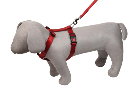 Kennel Soft Nylon 3-Way Adjustable Dog Harness – Heavy-Duty Comfort Fit (1 1/4")