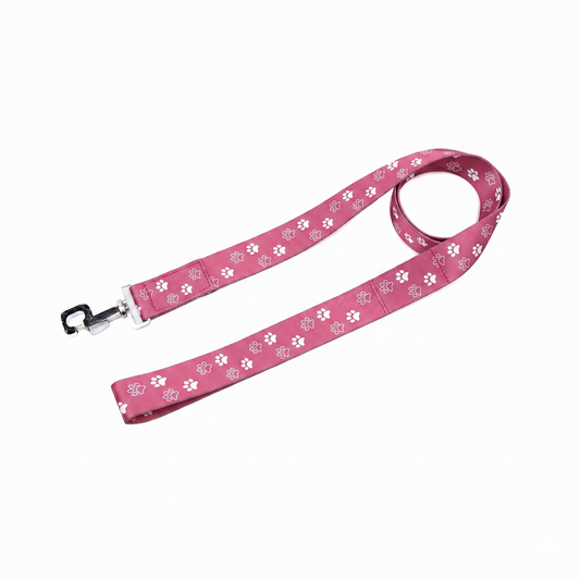 Purple Paws Print Nylon Dog Leash by Kennel