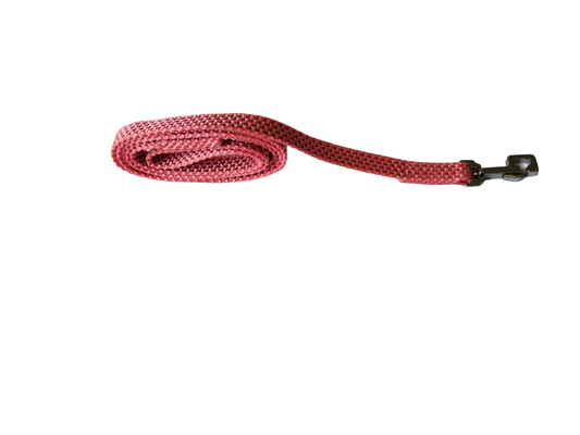 Kennel Premium Reflective Nylon Dog Leash (1/2 Inch x 48 Inch) – Lightweight & Durable Leash for Small Dogs