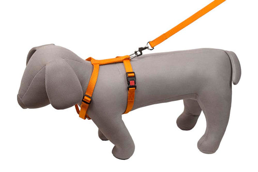 Kennel Soft Nylon 3-Way Click Lock Adjustable Dog Harness & Leash Set – Lightweight & Secure (3/4")