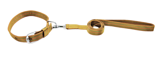 Kennel Nylon Pattern Dog Collar & Leash Set – Durable 3/4" Walking Combo for Small & Medium Breeds