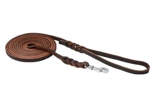 Kennel Leather Leash for Dogs – 4 Feet Heavy-Duty Lead