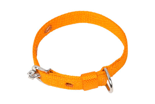 Kennel Nylon Collar (1 1/4") – Strong & Durable Everyday Dog Collar