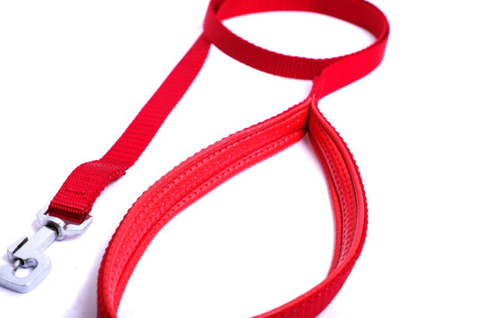 Kennel Foam Padded Soft Nylon Dog Leash (1" x 48") – Comfortable Grip Leash