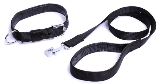Kennel Foam Padded Nylon Collar Set & Leash | Comfortable & Durable Pet Walking Set - Kennel 
