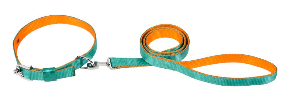 Kennel Soft Nylon Two-Color Dog Collar & Leash Set – Lightweight Combo for Puppies & Small Breeds - Kennel 