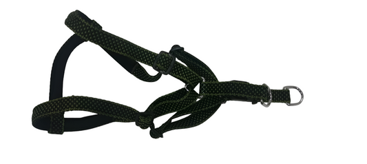 Kennel Padded Nylon Dotzy Adjustable Dog Harness (3/4 Inch Width)