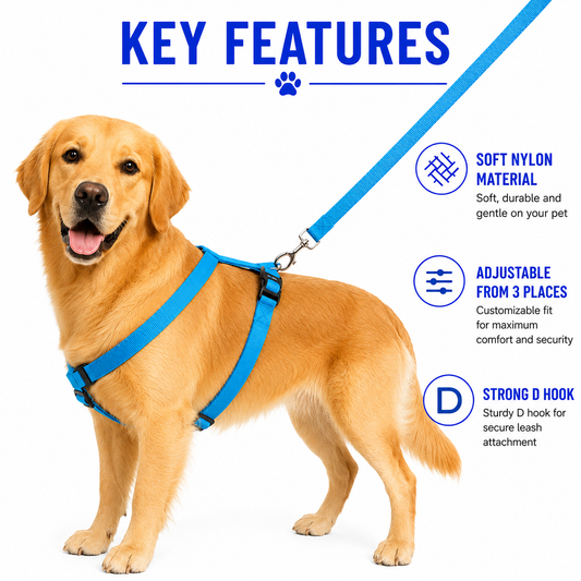 Kennel Adjustable Nylon Dog Harness – Click-Lock Fit