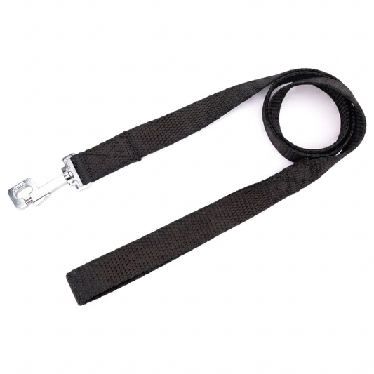 Kennel Premium Nylon Dog Leash – Strong & Durable