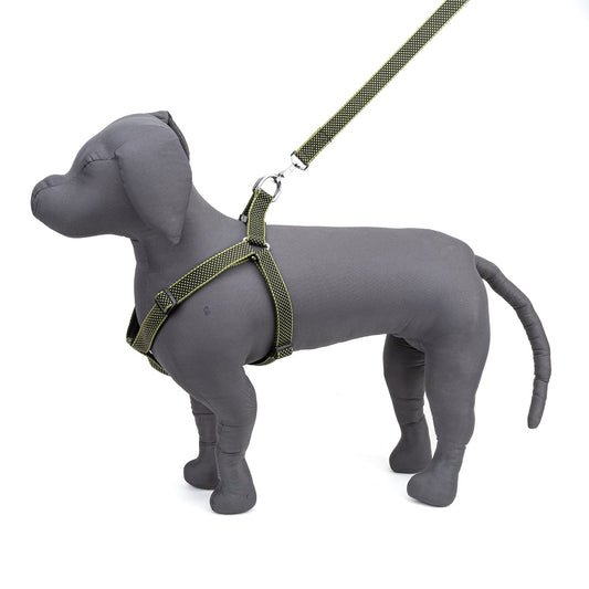 Kennel Padded Nylon Dotzy Adjustable Dog Harness
