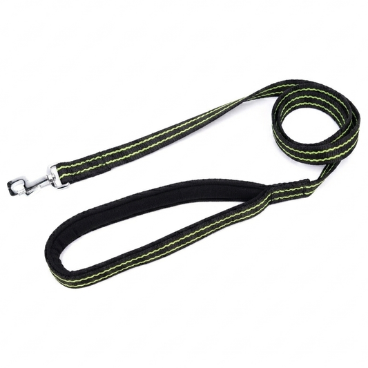 Padded Nylon Dog Leash with Foam Grip | Kennel