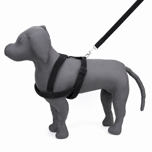 Kennel Padded Nylon Body Harness | Comfortable & Durable Dog Harness