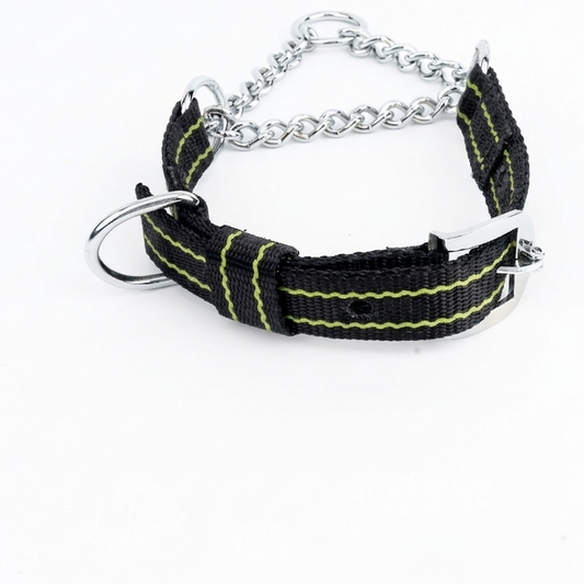 Dog Martingale Collar – Nylon & Chain, Adjustable