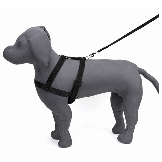 Nylon Dog Body Harness | Adjustable, Lightweight & Secure